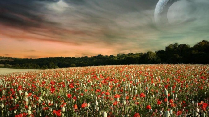 Flutter 为什么没有一款好用的UI框架？